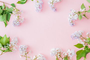 Flat lay composition with branches of lilac on a pink background