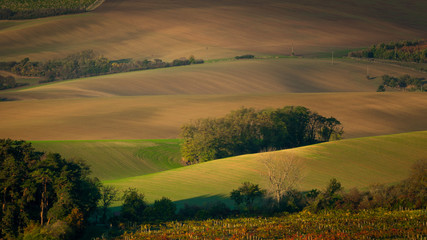 A wonderful morning in the Moravian fields in autumn. Beautiful colours