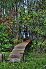 Pathway 1