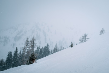 Fototapeta na wymiar Schneefall, Baum, Gebirge