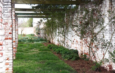 Trellis Garden Early Spring Plants