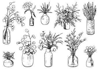 Collection of varied vases, bottles, and jars of flowers and plants. Hand drawn vector illustration. Vintage botanical set. Decorative floral outline elements isolated on white. Usable for design. - obrazy, fototapety, plakaty