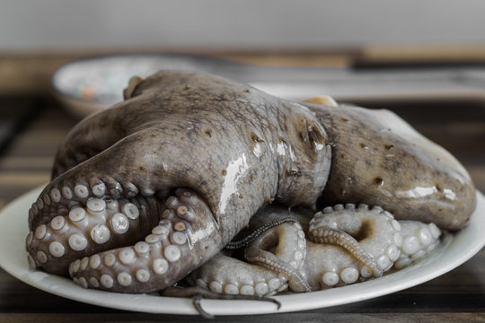 Close up photo of shiny octopus lying on the white plate.