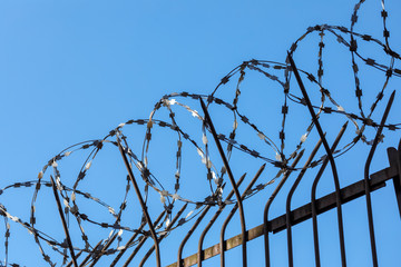 barbed wire on the fence against the blue sky