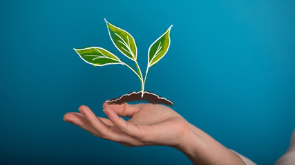 Minimal nature concept.Think Green.Ecology Concept. Environmentally friendly planet.