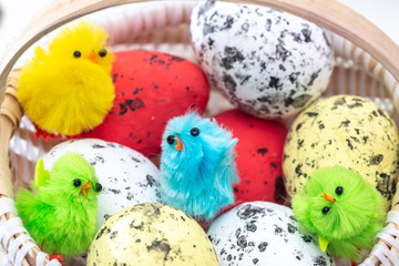Fototapeta na wymiar Easter eggs in the basket, Chickens in the eggs, Easter eggs, Happy easter card, Easter background