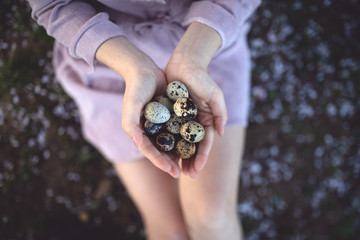Spring easter background for your projects - girl in pink under a pink tree with a quail eggs sits on the ground, strewn with pink petals of blooming cherry.