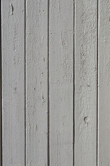 background fence of gray wooden boards.