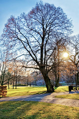 Obraz premium Winter park in center of Riga