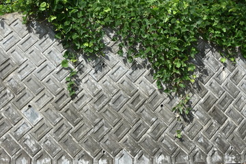 コンクリート03