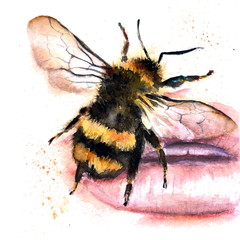 Bumblebee/bee watercolor drawing. Isolated objects. Insects - 332224594