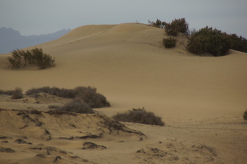 dunes de sable de Maspalomas