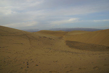 Fototapeta na wymiar dunes de sable de Maspalomas