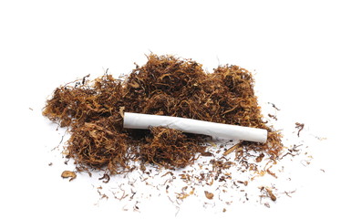 Tobacco and cigarette isolated on white