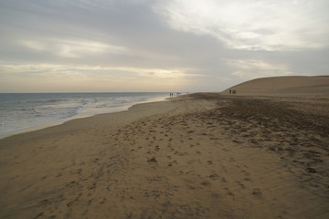 dunes de sable de Maspalomas
