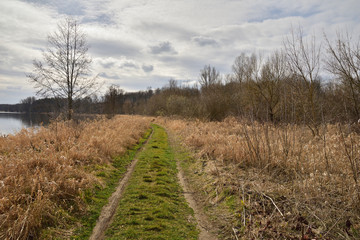 Fototapeta na wymiar Polna droga wśród drzew i łąk w słoneczny dzień z białymi chmurami. 