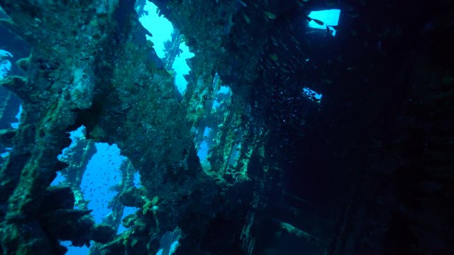 Carnatic, wreąck of sunken ship at Abu Nuhas coral reef in the Red sea, Egypt