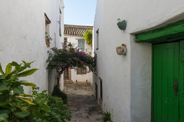 Fototapeta na wymiar Una calle en Castellar de la Frontera, en la provincia de Cádiz, España.