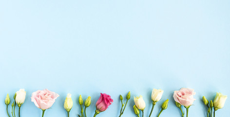 Flat lay with flower composition. Frame of rose flowers on blue background. Minimal spring concept. Top view, copy space.