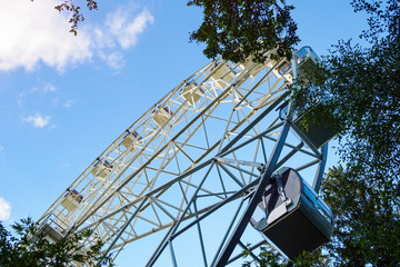 Ferris wheel through green tree on background of blue sky in sunny summer day, bottom view.