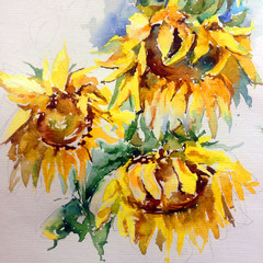 Abstract bright colored decorative background . Floral pattern handmade . Beautiful tender romantic bouquet of summer sunflowers , made in the technique of watercolors from nature.