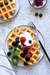 Classic Viennese waffles with yogurt and berries for breakfast. View from above.