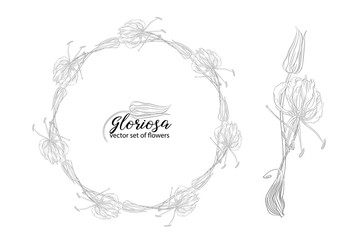 vector set of flowers and beads glorasa Gloriosa