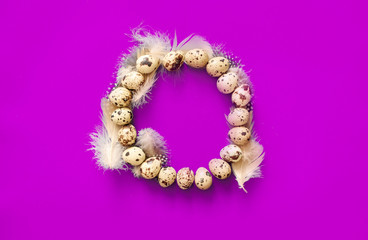 A circle of quail eggs and feathers on a bright pink background.
