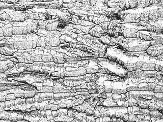 Distress old dry wooden texture. Black and white grunge background. Vector illustration