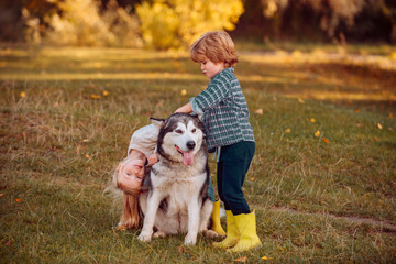 Dog and funny kids enjoying together outdoors. Cute children with dog walking in the field on a sunny summer day. Children tourists and dog in beautiful nature.