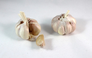 garlic on white background