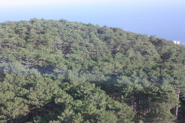 view of mountains