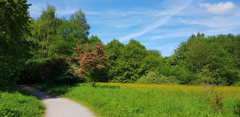 Path in nature on sunny spring day