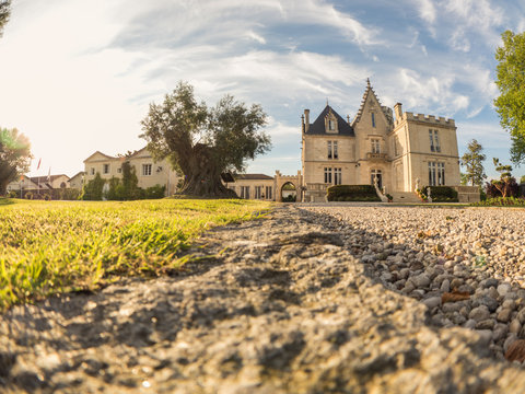 Ch&acirc;teau Pape Cl&eacute;ment