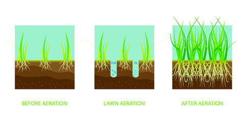Lawn aeration. Process of aeration before and after, lawn grass care service, gardening and landscape design.  Gardening grass lawn care, landscaping service. Vector illustration