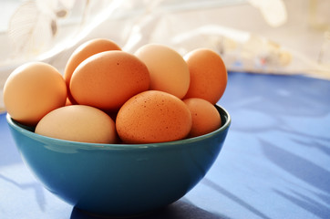 blue plate full of fresh chicken eggs on against the window bright sun shadow from the curtain