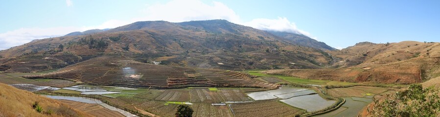 panorama of madagascar rice fields