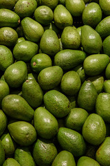 Avocado, Persea americana at box in supermarket.