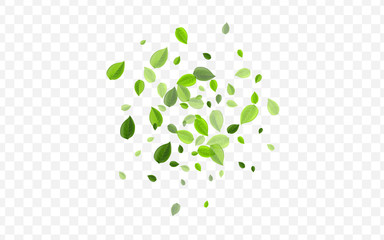 Grassy Greens Vector Concept. Lime Leaves Forest 