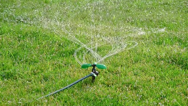 Sprinkler irrigation system working in a green park, watering flowers and lawn. Sprinkler head watering