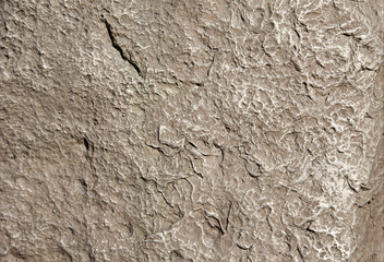 A stone with indentations. Raised texture wall.