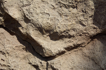 A stone with indentations. Raised texture wall.