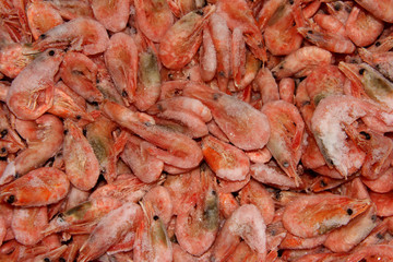 Frozen prawns. Seafood. Raw shrimp. Lots of seafood