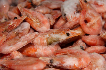 Frozen prawns. Seafood. Raw shrimp. Lots of seafood