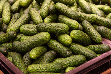 Group of cucumber at box in supermarket.