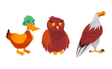 Forest birds duck eagle owl characters isolated set. Vector flat graphic cartoon illustration design