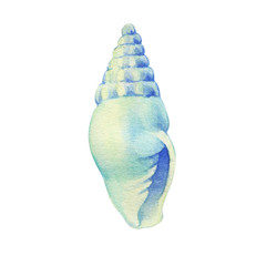 Illustrations of underwater life objects - blue sea shell, marine design. Watercolor hand drawn painting illustration isolated on white background.