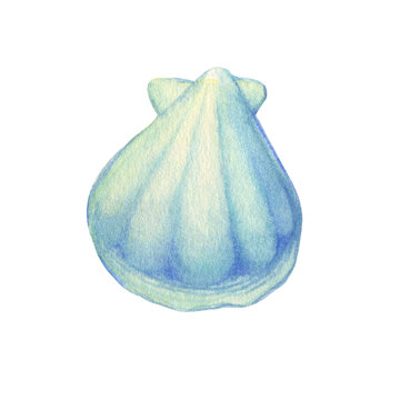 recommend clip art: Illustrations of underwater life objects - blue sea shell, marine design. Watercolor hand drawn painting illustration isolated on white background.
