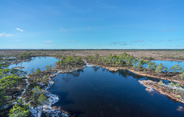 Aerial view of frozen swamp hollow surrounded by poor bonsai pines. Symmetrical reflections of trees, bright blue sky on water. Typical swamp lake. Nature Reserve, Marimetsa raised bog in Estonia.
