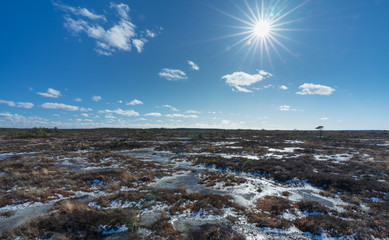 Aerial view, raised bog in early spring, some pools are still frozen, some are already open and reflect the sky and bonsai size pine trees. Bright day, blue sky and white clouds. Endla Nature reserve.
